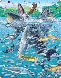 Larsen Humpback whale puzzle