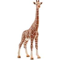 schleich giraffe female