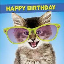 Birthday Card Cat with Glasses 3D