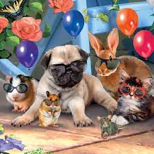 Birthday Card Pets in Glasses 3D