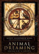 Animal Dreaming Oracle cards