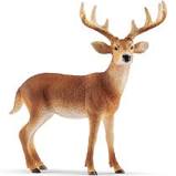Schleich SC14818  White Tailed Buck