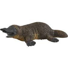 Schleich Platypus