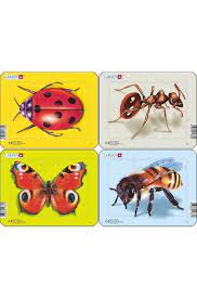 Larsen  Insect Jigsaw puzzle