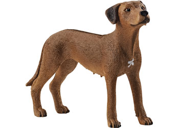 Schleich Rhodesian Ridgeback