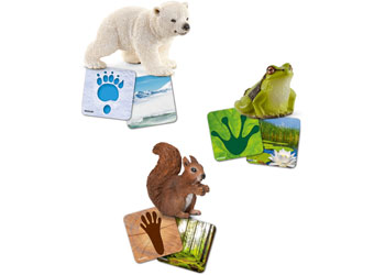 Schleich Wild Life Set - Polar Bear, Frog and Squirrel with flash cards