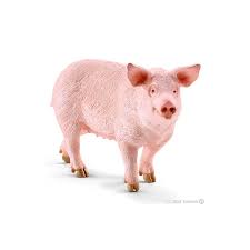 Schleich  Pig