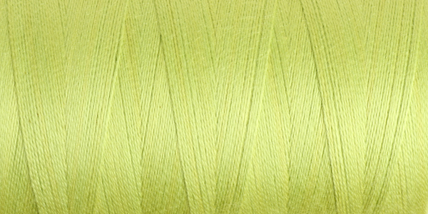 852 Unmercerised Cotton 10/2 Green Glow / 200gm