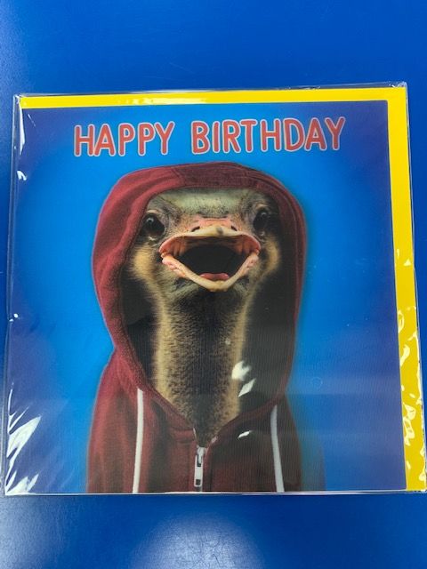 Birthday card- 3D Ostrich