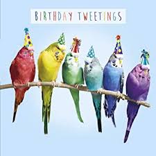 Birthday Card- 3D Party Birds