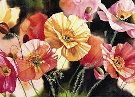 Birthday Card- Iceland Poppies