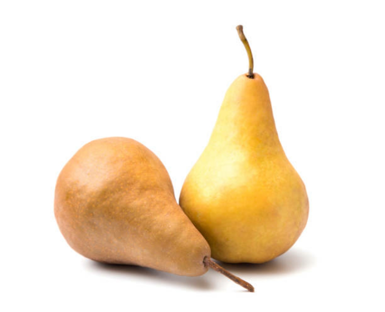 Burre Bosc Pear