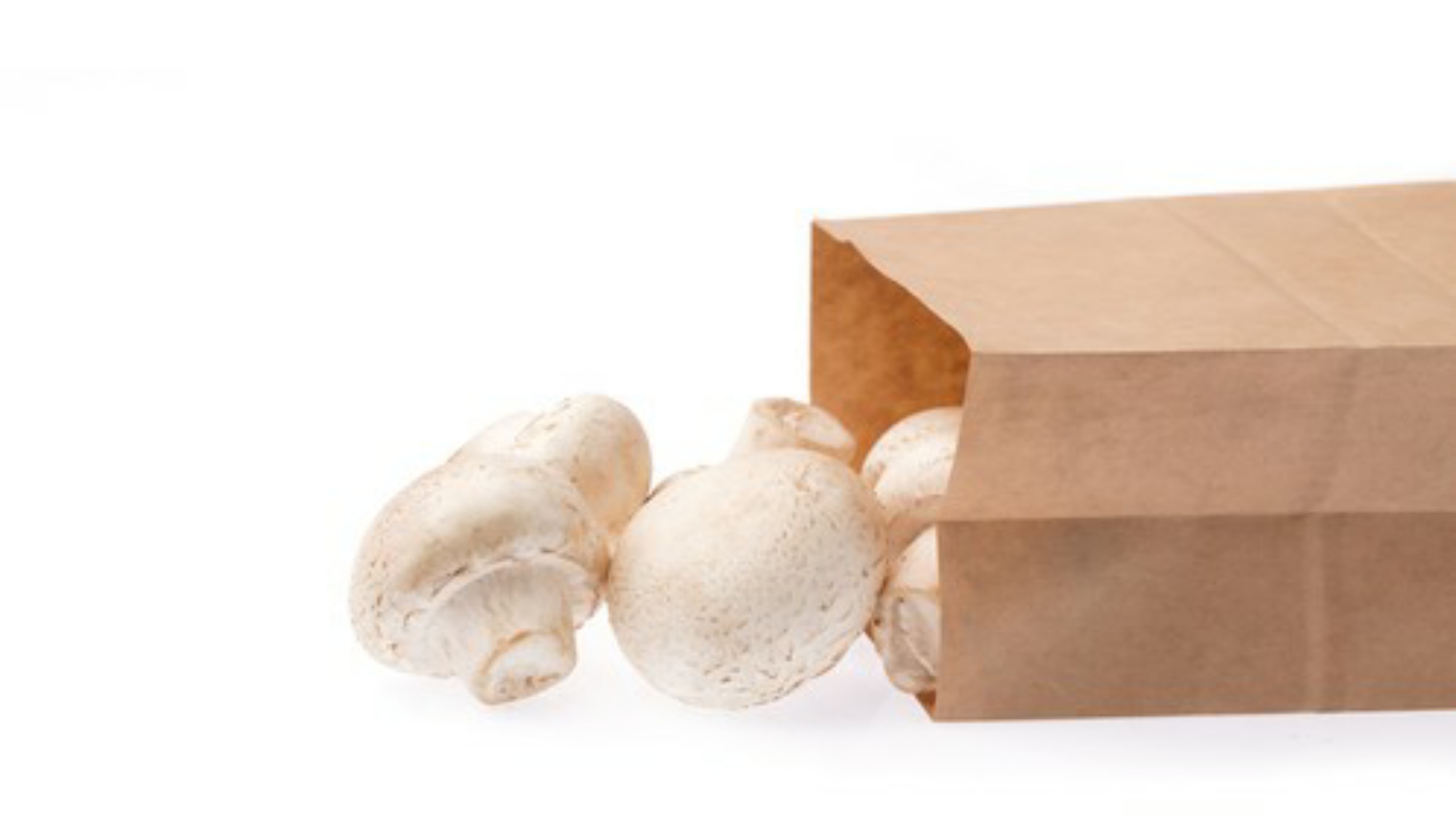 Mushroom Bag - white