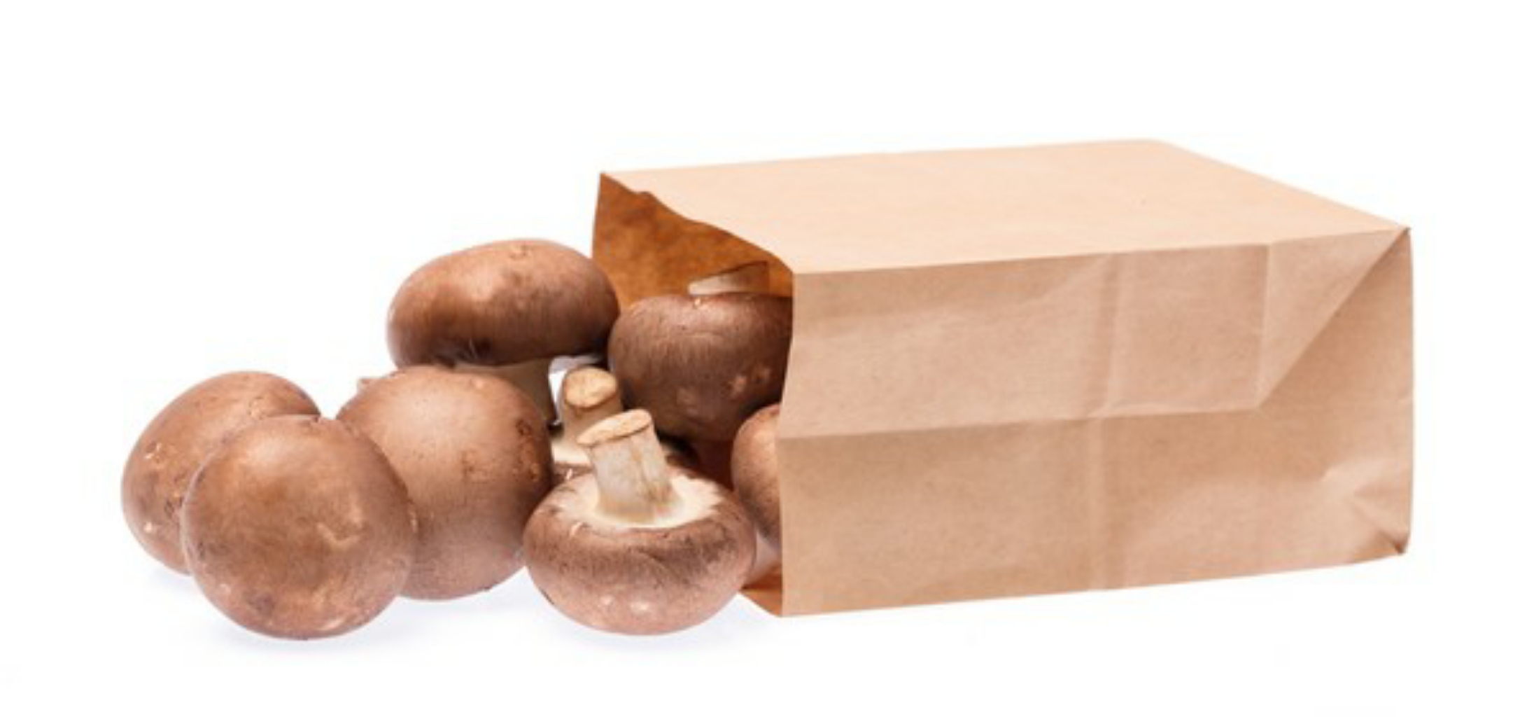 Mushrooms Bag - Brown