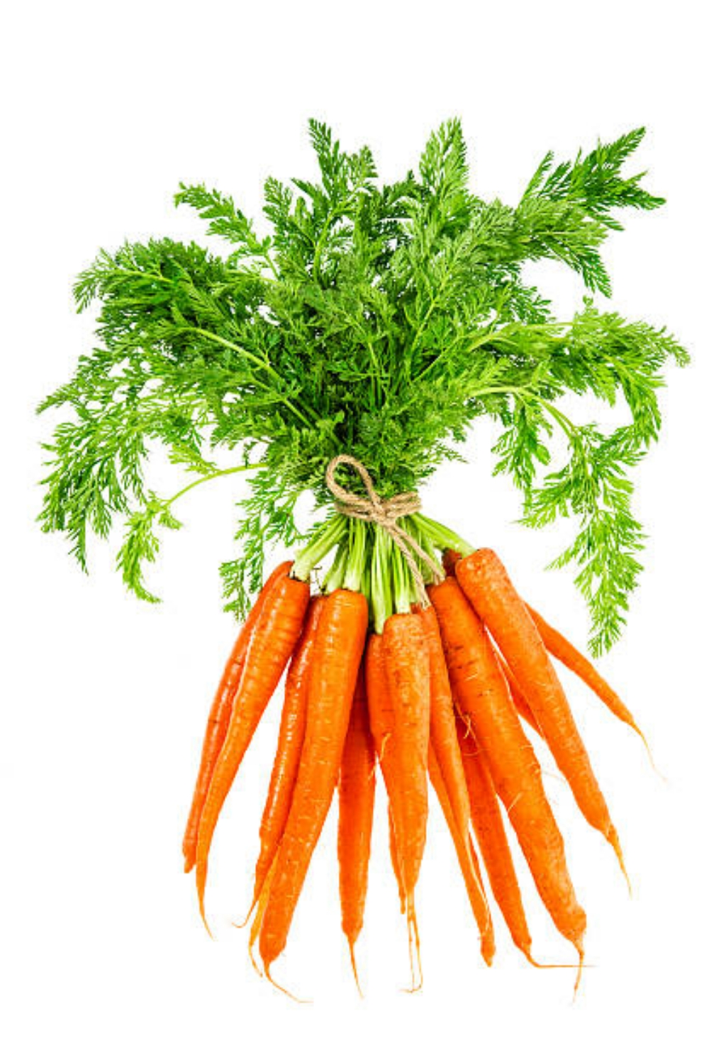 Bunched carrots