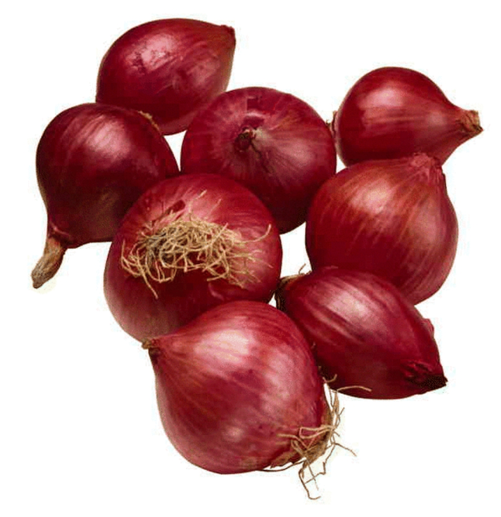RED ONION