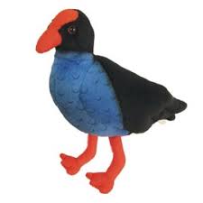 Antic Pukeko with sound