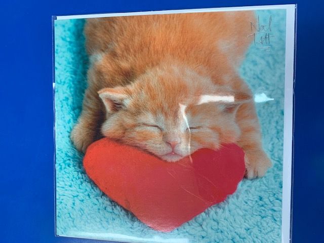 Ginger Kitten on Red Heart Card