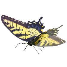 Metal Earth Tiger Swallowtail