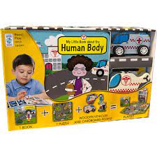 My Little Village- Human Body