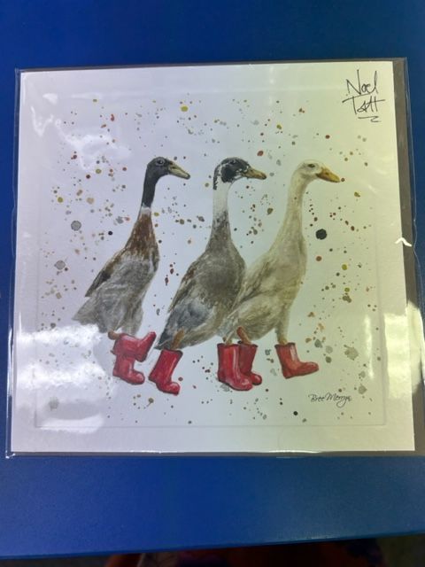 Blank Card-  Duck in Boots