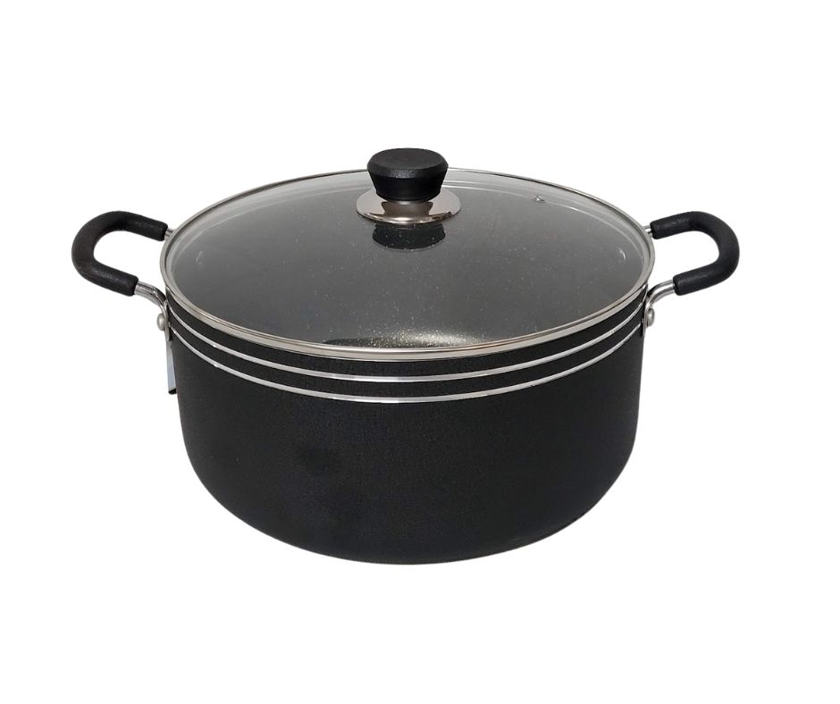 24CM INDUCTION CASSEROLE POT