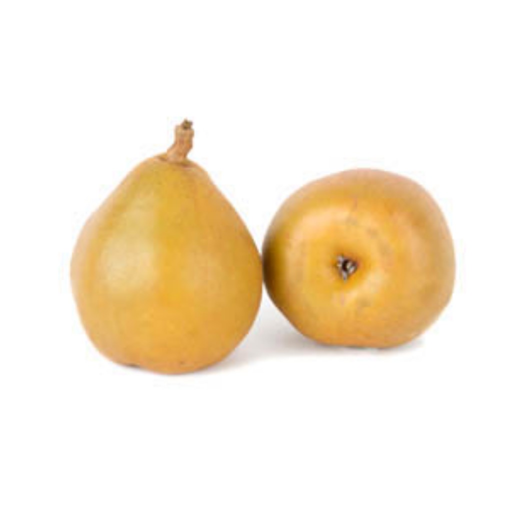 Taylors gold pear