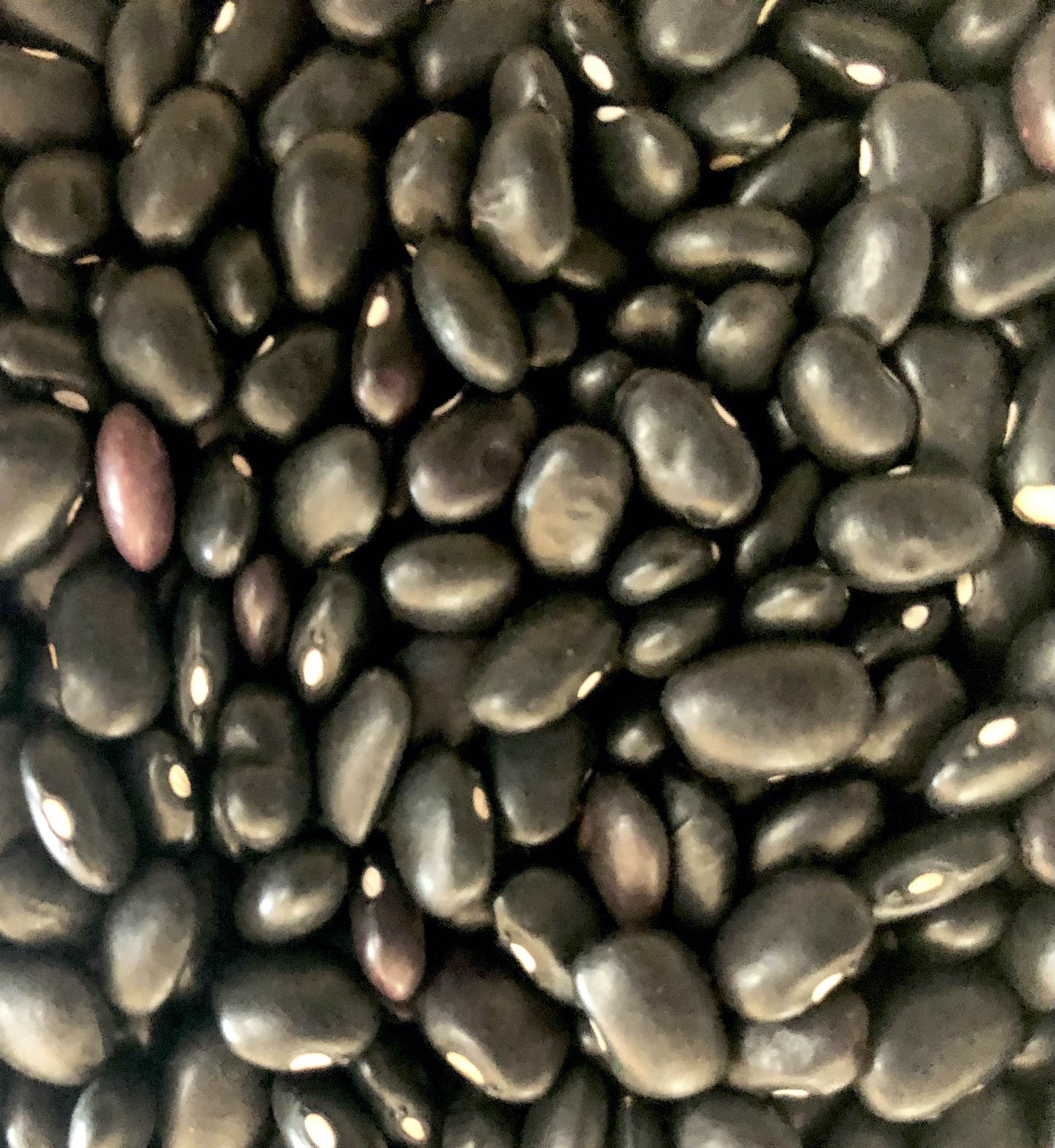 Black Beans