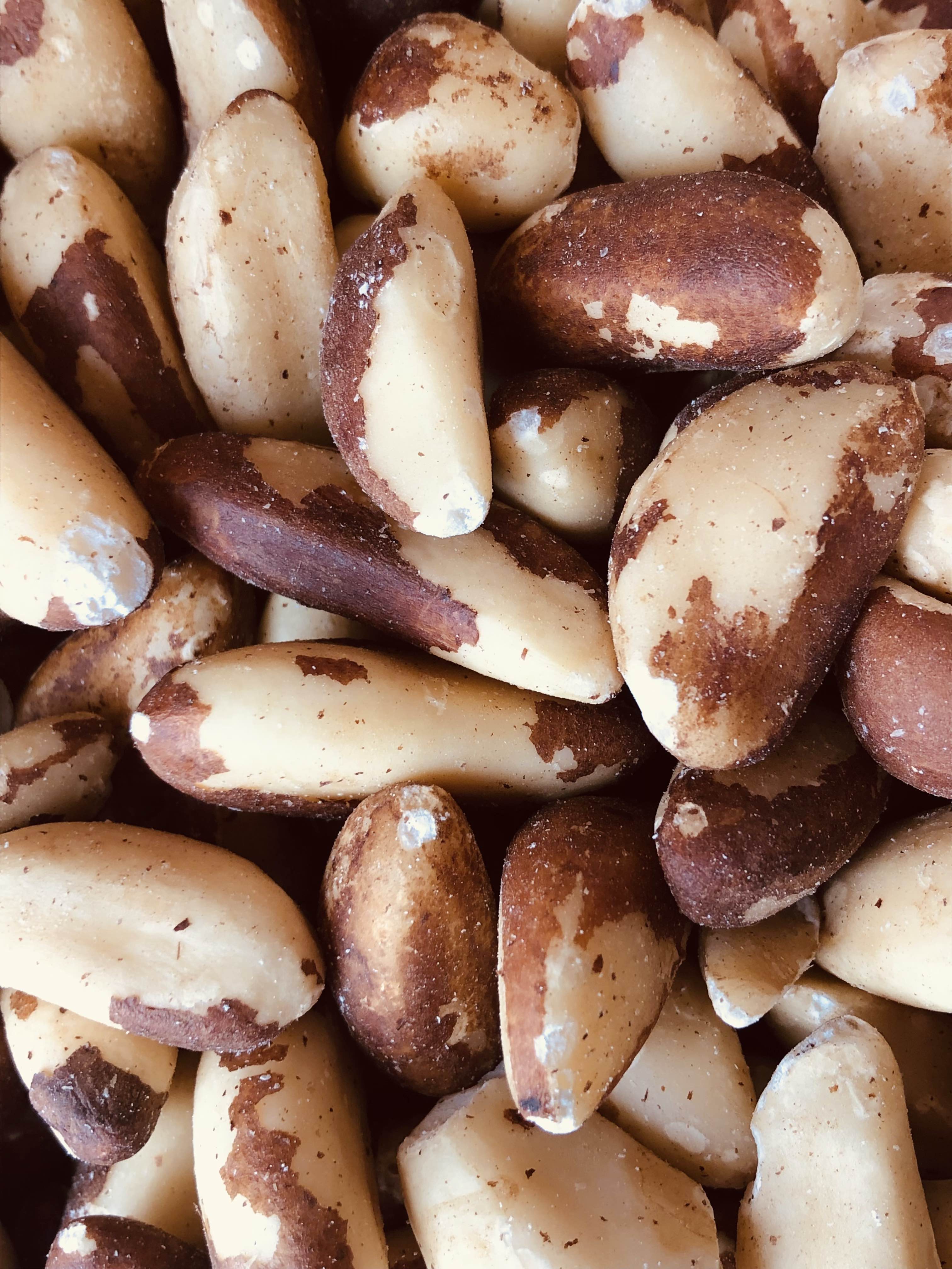 Brazil Nuts