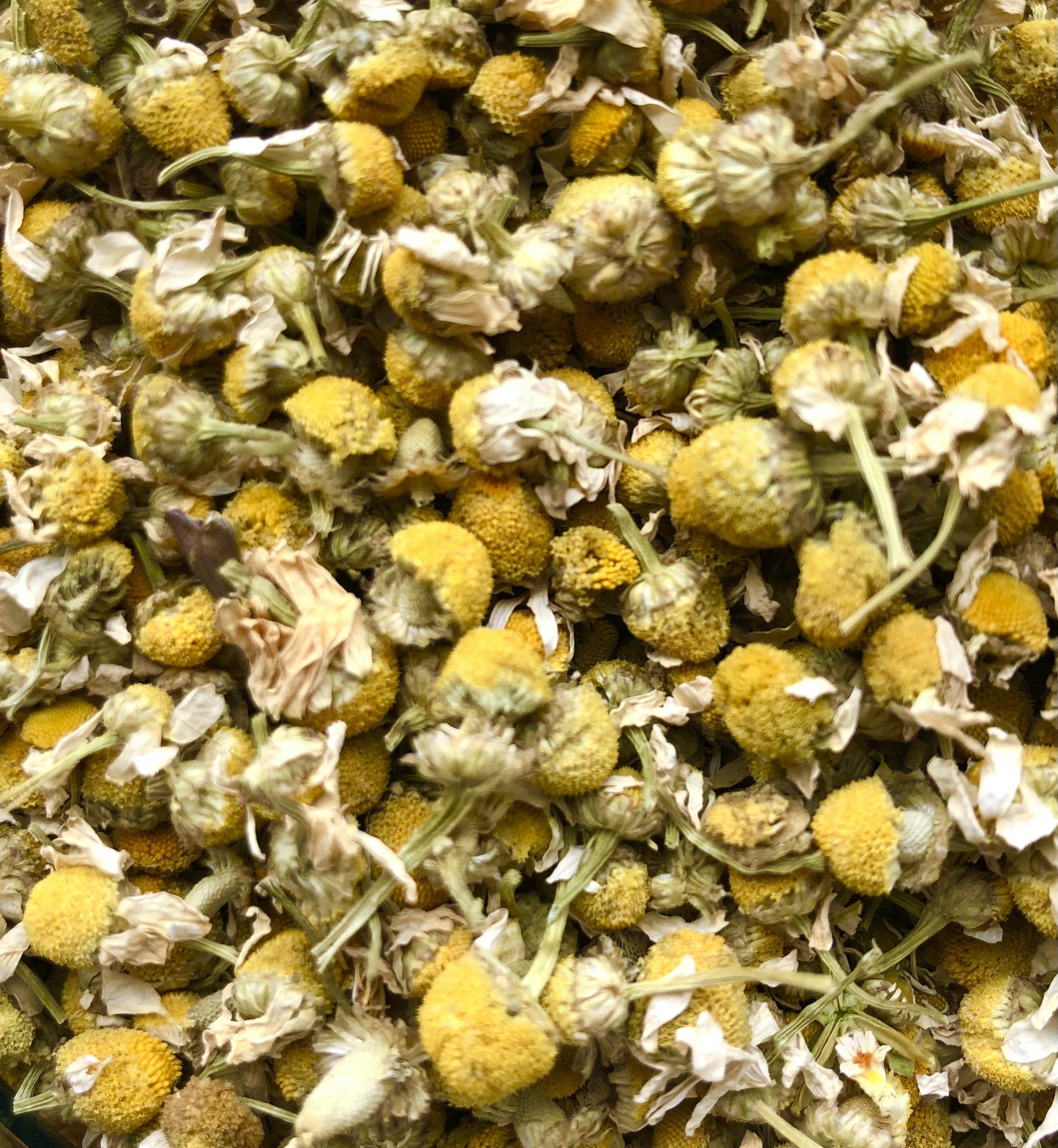 Chamomile • Pure Organic