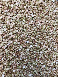 Buckwheat