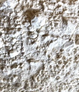 White Flour • Stoneground • Bio Grains