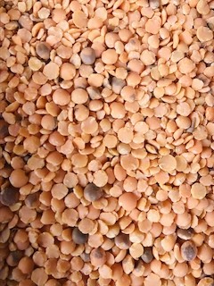 Red Lentils