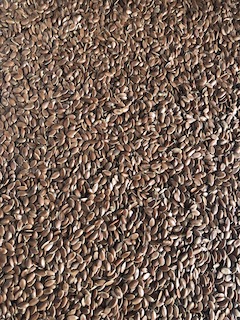 Linseed/Flaxseed