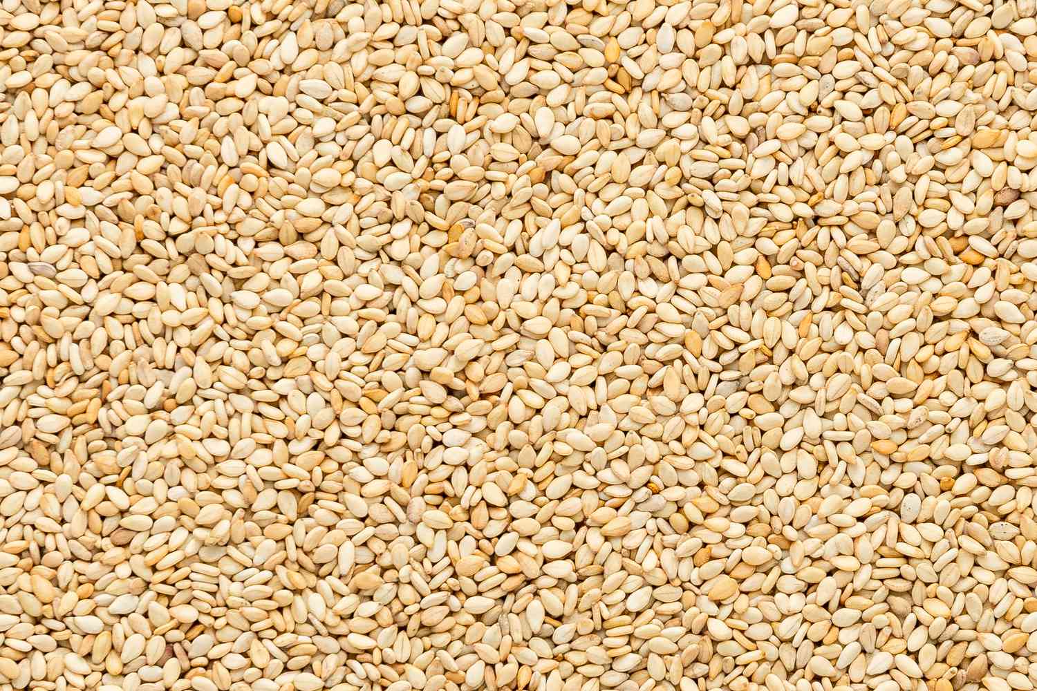 Sesame Seeds