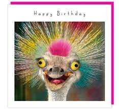 Birthday Card  Gogglies Emu