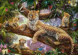 Ravensburger - Leopard family 1000pc
