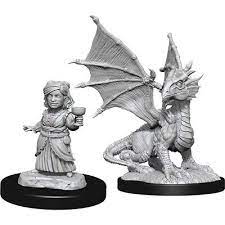 D & D Nolzur's Marvelous Miniatures - Silver Dragon Wyrmling & Halfling Dragon Friend