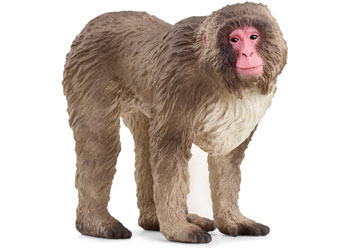 Schleich Japanese Macaque