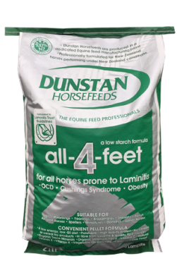 Dunstan All 4 Feet 20kg