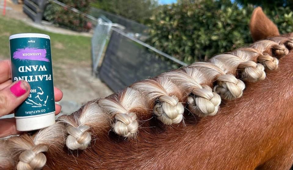 Eco Horse Plaiting Wand