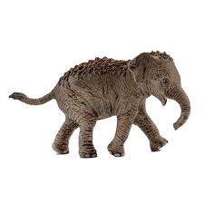 Schleich- Asian Elephant Calf 14755