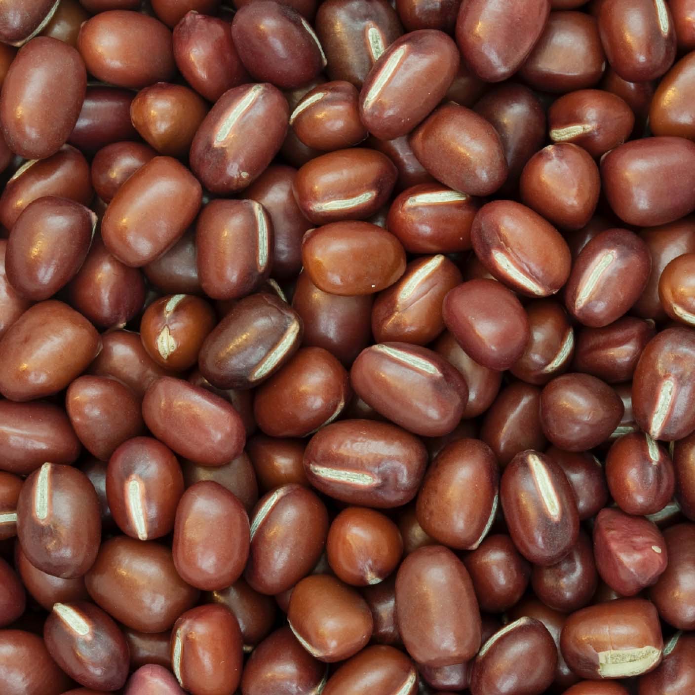 Adzuki Beans