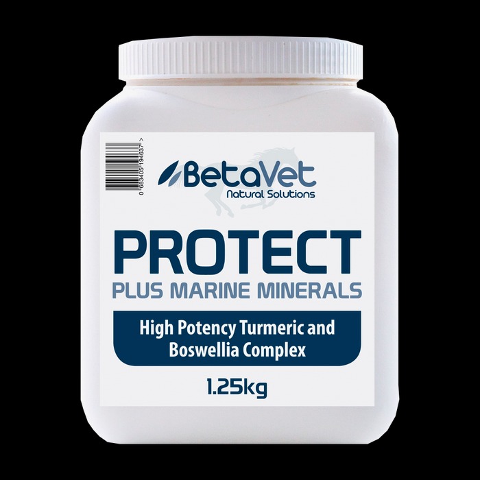 BetaVet Protect Plus 1.25kg