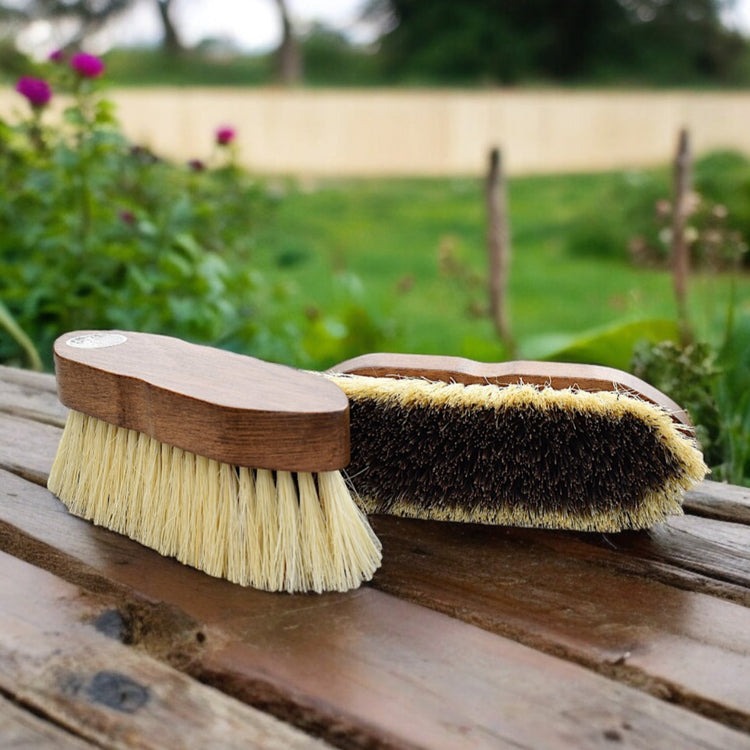 Eco Horse Mud Brush