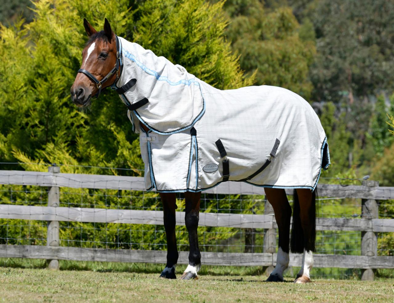 Weatherbeeta Summer Sheet Combo White/Grey/Blue - 4'9