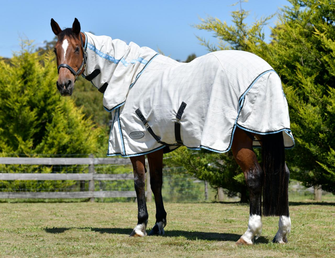 Weatherbeeta Summer Sheet Combo White/Grey/Blue - 4'9