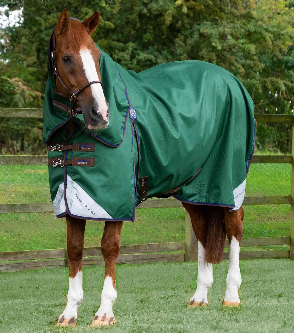 Premier Equine Akoni 0g Turnout Rug Green with Classic Neck Rug - NZ 5'3"