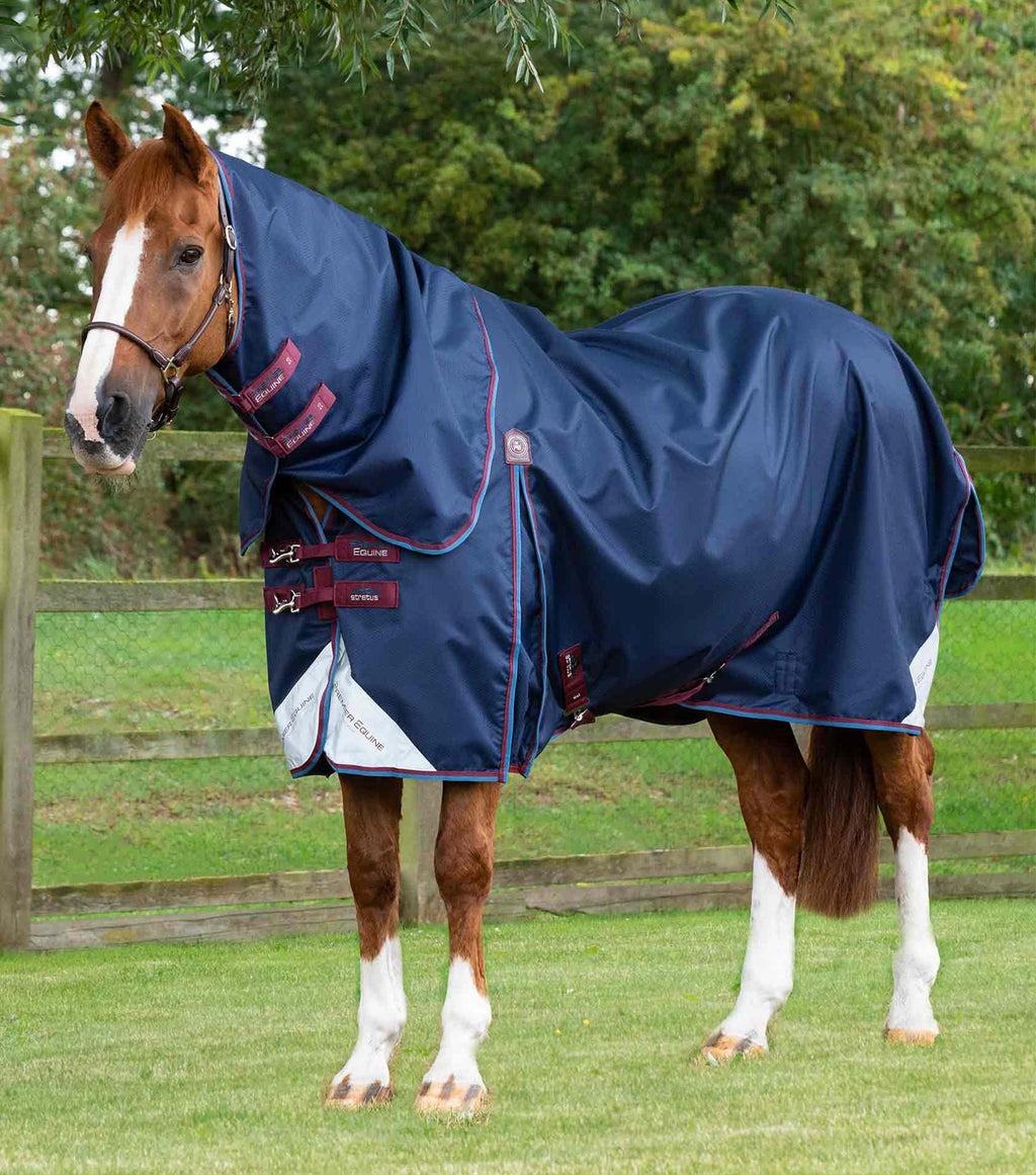 Premier Equine Akoni 0g Turnout Rug Navy  - NZ 4'3"