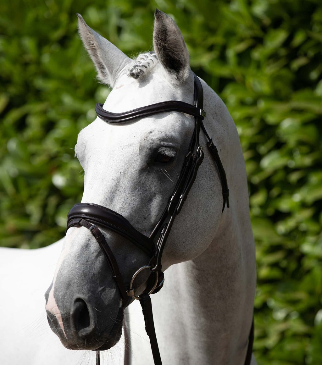 Premier Equine Rizzo Bridle Dark Brown